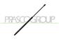 TAILGATE GAS SPRING RIGHT/LEFT - 755 N - L 665 mm - C 256 mm - Ø 22 mm - Ø 10 mm