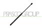 AMORTIGUADOR DE MALETERO DERECHO/IZQUIERDO PORTON TRASERO - 365 N - L 495 mm - C 204 mm - Ø 18 mm - Ø 8 mm