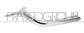 RADIATOR GRILLE MOLDING-RIGHT-CHROME