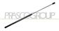 MOLLA A GAS DESTRA/SINISTRA PORTELLONE POSTERIORE - 245 N - L 609,5 mm - C 265 mm - Ø 18 mm - Ø 8 mm MOD. 5 PORTE
