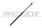 AMORTIGUADOR DE MALETERO DERECHO/IZQUIERDO PORTON TRASERO - 520 N - L 543 mm - C 200 mm - Ø 18 mm - Ø 8 mm