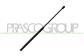 BONNET GAS SPRING RIGHT/LEFT - 310 N - L 543 mm - C 235 mm - Ø 18 mm - Ø 8 mm