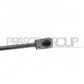 GASDRUCKFEDER HECKKLAPPE RECHTS UND LINKS-450 N-L 423 mm-H 170 mm-Ø 18 mm-Ø 8 mm
