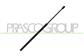 TAILGATE GAS SPRING RIGHT/LEFT - 575 N - L 570,5 mm - C 201,5 mm - Ø 18 mm - Ø 8 mm MOD. STATION WAGON