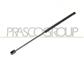AMORTIGUADOR DE MALETERO DERECHO/IZQUIERDO PORTON TRASERO - 355 N - L 507 mm - C 210 mm - Ø 18 mm - Ø 8 mm