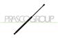 GASDRUCKFEDER HECKKLAPPE RECHTS/LINKS-435 N - L 466,5 mm - C 172 mm - Ø 18 mm - Ø 8 mm