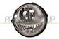 FOG LAMP RIGHT