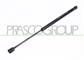 AMORTIGUADOR DE MALETERO DERECHO/IZQUIERDO PORTON TRASERO - 500 N - L 419 mm - C 160 mm - Ø 18 mm - Ø 8 mm