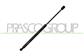 MOLLA A GAS DESTRA/SINISTRA PORTELLONE POSTERIORE - 565 N - L 417,5 mm - C 152,5 mm - Ø 18 mm - Ø 8 mm