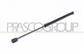AMORTIGUADOR DE MALETERO DERECHO/IZQUIERDO PORTON TRASERO - 600 N - L 440 mm - C 180 mm - Ø 18 mm - Ø 8 mm MOD. 5 PUERTAS