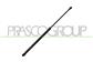 TAILGATE GAS SPRING RIGHT/LEFT - 290 N - L 560 mm - C 221 mm - Ø 18 mm - Ø 8 mm MOD. 06/16 >