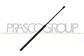 MOLLA A GAS DESTRA/SINISTRA PORTELLONE POSTERIORE - 290 N - L 560 mm - C 221 mm - Ø 18 mm - Ø 8 mm MOD. 06/16 >