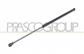 TAILGATE GAS SPRING RIGHT/LEFT-320 N-L 500 mm-S 205 mm-Ø 18 mm-Ø 8 mm MOD. 5 DOOR