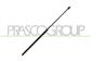 BONNET GAS SPRING - 240 N - L 730 mm - C 325 mm - Ø 18 mm - Ø 8 mm