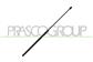 BONNET GAS SPRING - 240 N - L 730 mm - C 325 mm - Ø 18 mm - Ø 8 mm