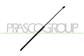 MOLLA A GAS COFANO - 265 N - L 730 mm - C 308 mm - Ø 18 mm - Ø 8 mm