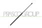 GASDRUCKFEDER FUER MOTORHAUBE-320 N - L 734 mm - C 310 mm - Ø 18 mm - Ø 8 mm