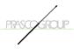 GASDRUCKFEDER FUER MOTORHAUBE-320 N - L 734 mm - C 310 mm - Ø 18 mm - Ø 8 mm