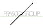 AMORTIGUADOR DE CAPO - 340 N - L 724 mm - C 286 mm - Ø 18 mm - Ø 8 mm
