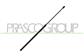 AMORTIGUADOR DE CAPO - 340 N - L 724 mm - C 286 mm - Ø 18 mm - Ø 8 mm