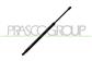 MOLLA A GAS DESTRA/SINISTRA PORTELLONE POSTERIORE - 740 N - L 542,5 mm - C 158 mm - Ø 22 mm - Ø 10 mm