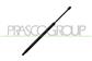 AMORTIGUADOR DE MALETERO DERECHO/IZQUIERDO PORTON TRASERO - 740 N - L 542,5 mm - C 158 mm - Ø 22 mm - Ø 10 mm