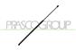 BONNET GAS SPRING - 285 N - L 779 mm - C 274 mm - Ø 18 mm - Ø 8 mm
