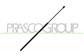 BONNET GAS SPRING - 285 N - L 779 mm - C 274 mm - Ø 18 mm - Ø 8 mm