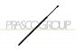 AMORTIGUADOR DE MALETERO DERECHO/IZQUIERDO PORTON TRASERO - 870 N - L 720 mm - C 183 mm - Ø 22 mm - Ø 10 mm