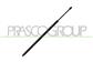 GASDRUCKFEDER HECKKLAPPE RECHTS/LINKS-870 N - L 720 mm - C 183 mm - Ø 22 mm - Ø 10 mm